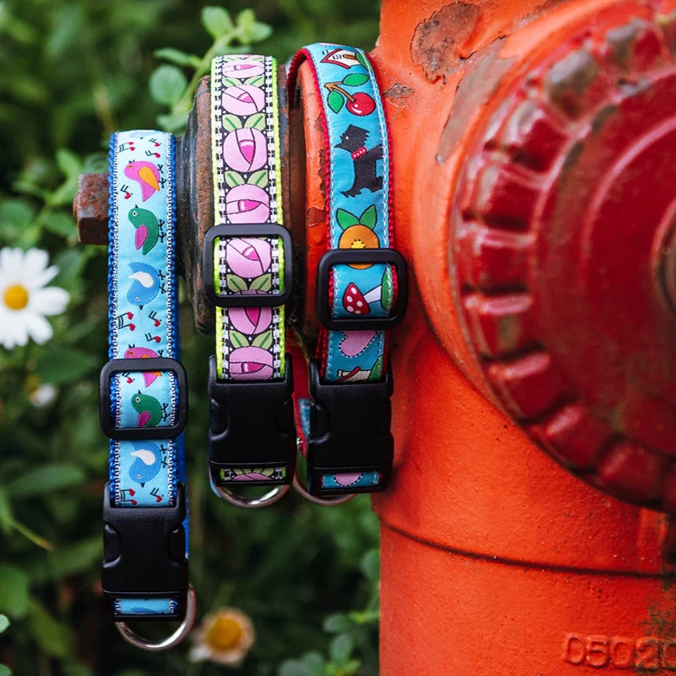Cottage Rose Dog Collar - Image 4