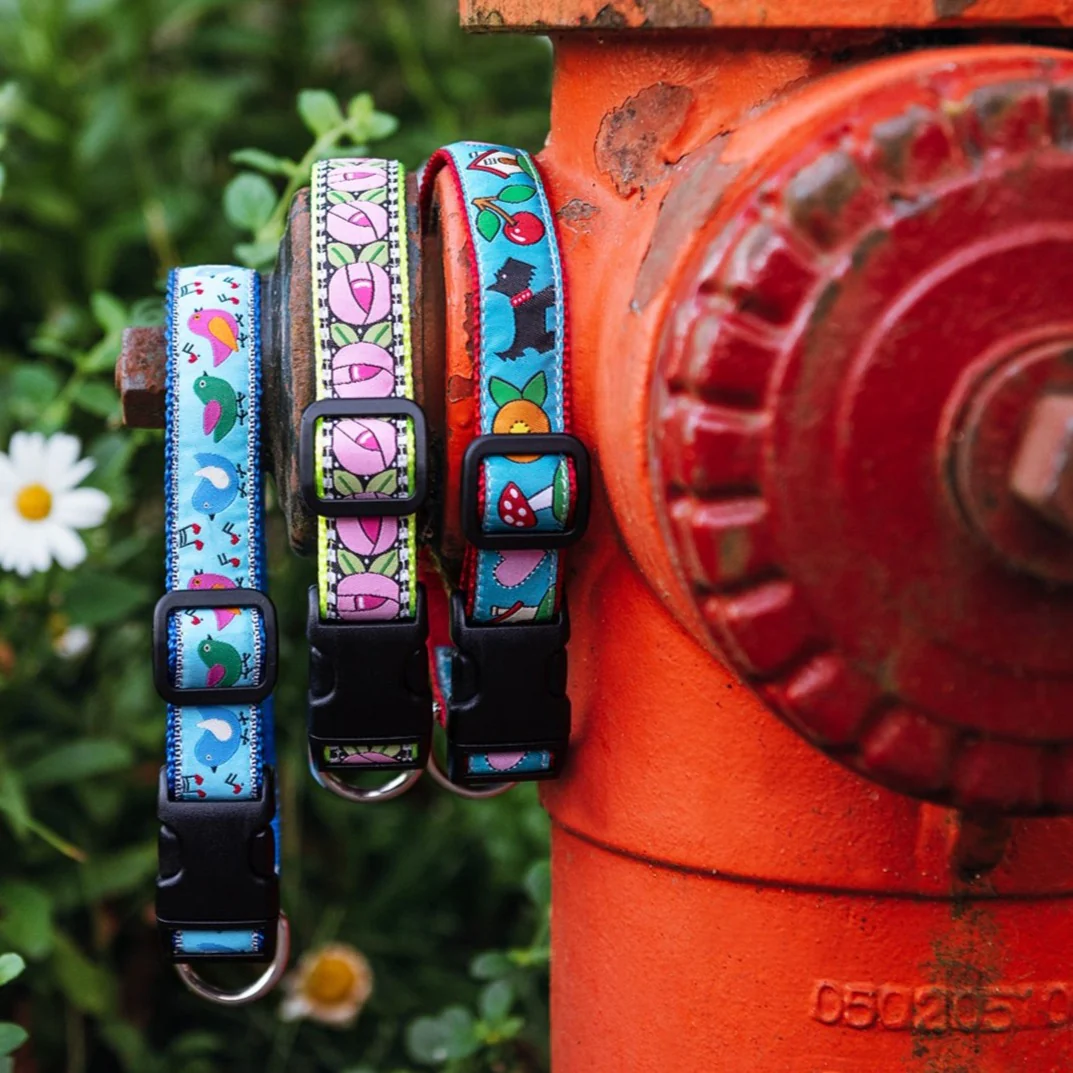 Songbirds Dog Collar - Image 3