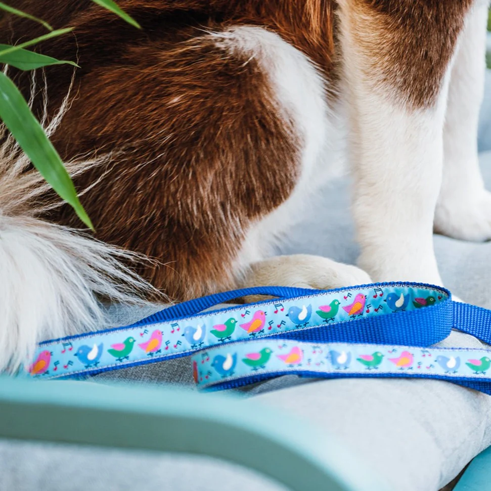 Songbirds Dog Leash - Image 2